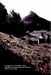 COLO JEUNE FRANCE 1956 Chamechaude en couleur